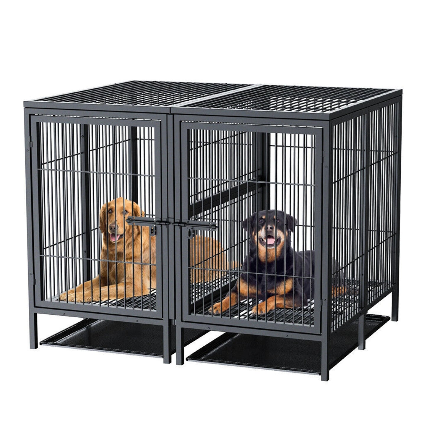 BINGOPAW Heavy Duty Metal Dog Cage With Front Door