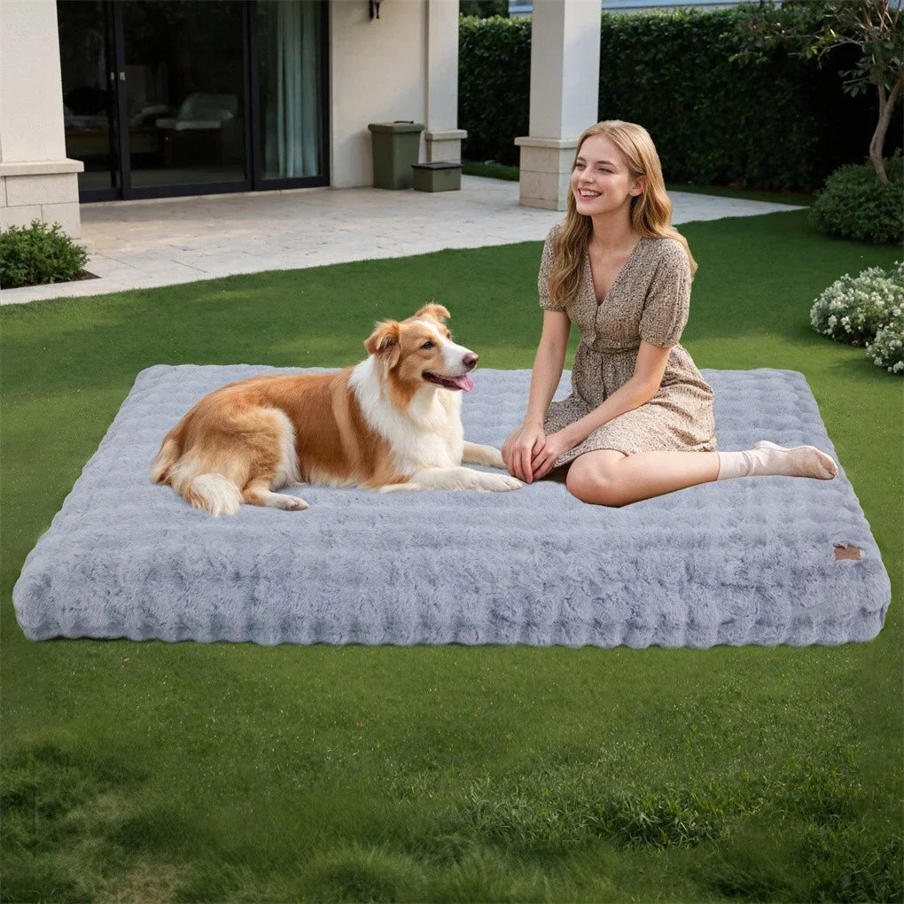 BINGOPAW Ultra Soft Dog Bed With Removable Cover For Pets