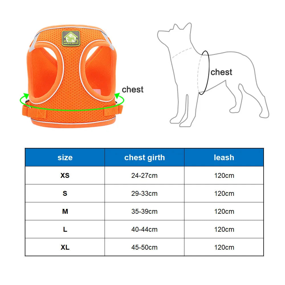 Breathable Cat Harness With Leash Anti Escape Vest For Kitten